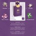 عطر Sweet Sagadir